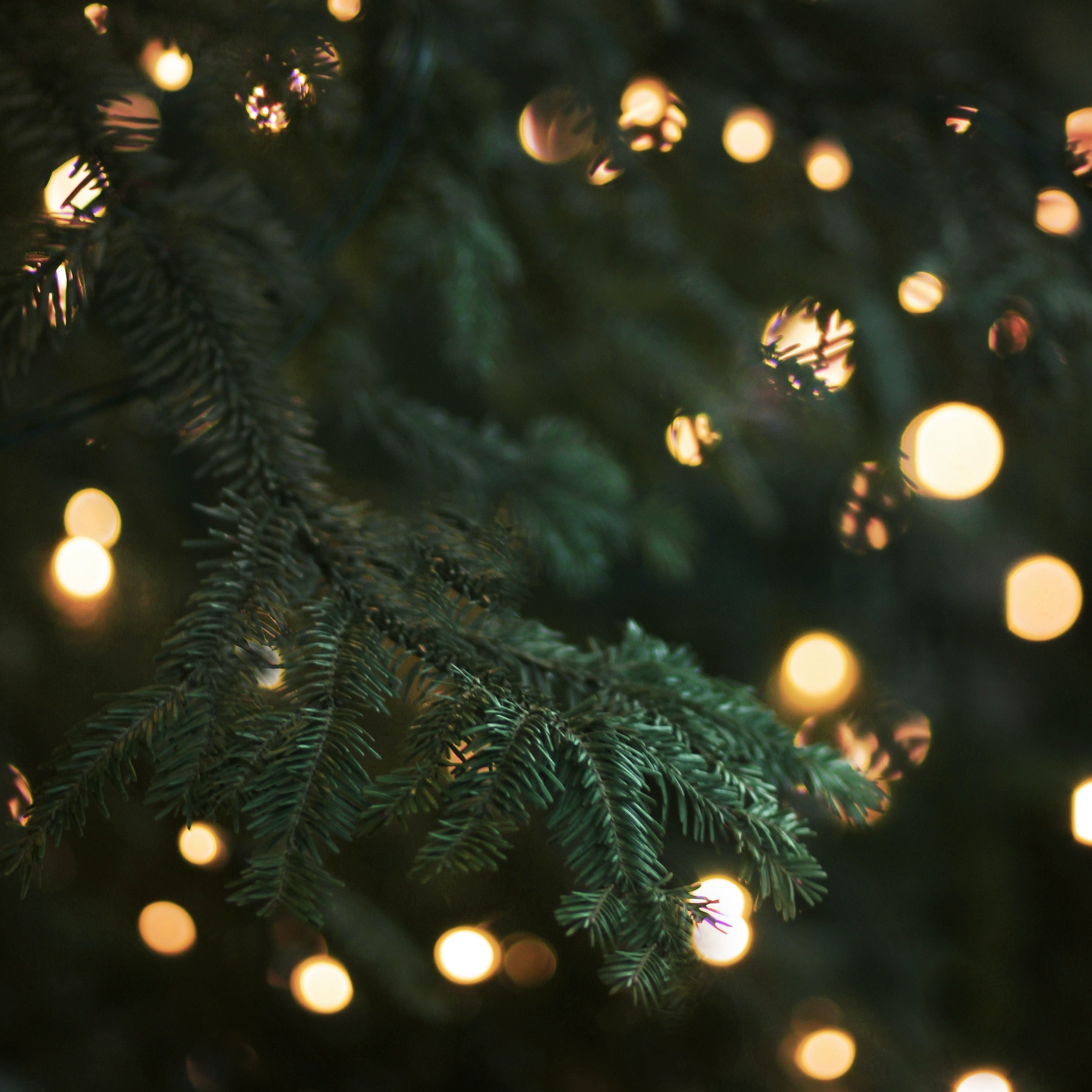 Holiday Shop