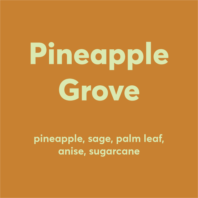 Pineapple Grove Candle