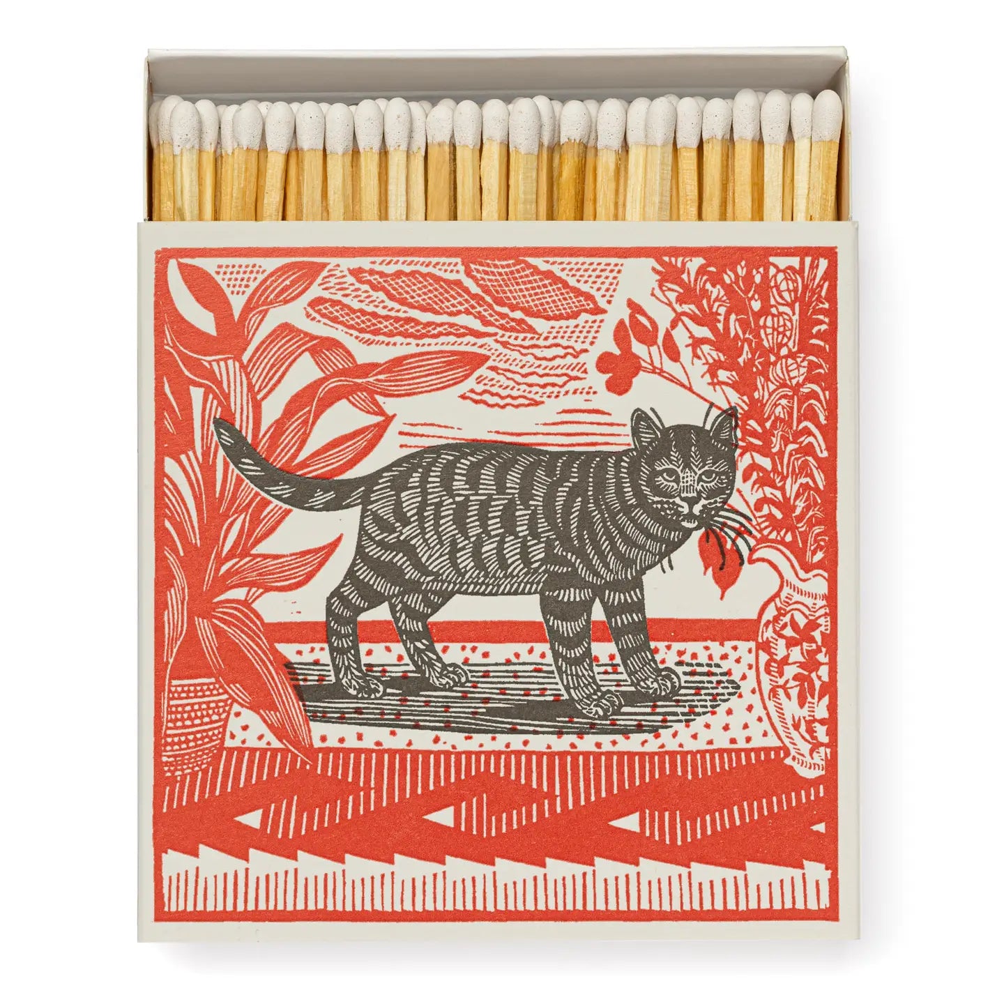 Sasha the Cat Safety Matches